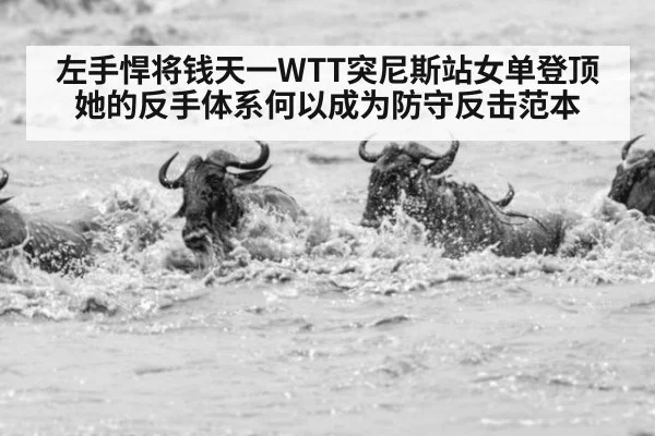 左手悍将钱天一WTT突尼斯站女单登顶 她的反手体系何以成为防守反击范本